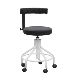 Patient Revolving Stool with Cushion Back Rest (ANS-PS-2)