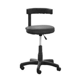 Patient Revolving Stool with Cushion Back Rest – Hydraulic (ANS-PS-3)