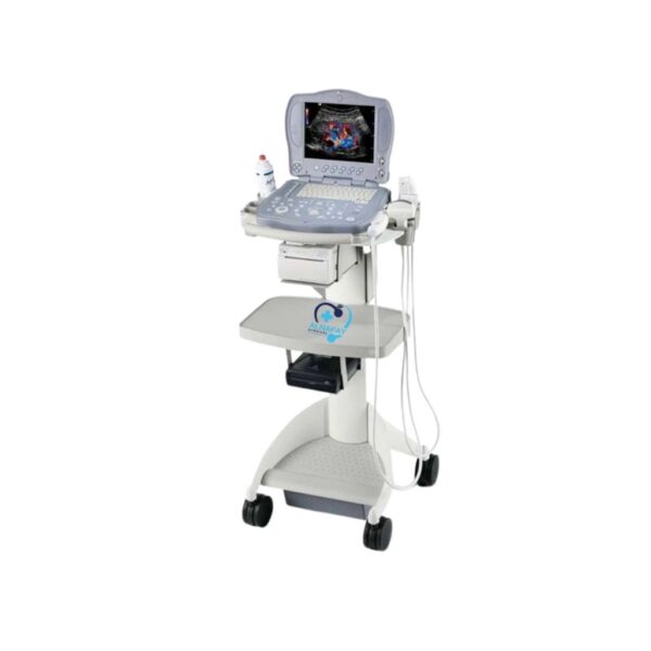 GE Logic XP Ultrasound Machine